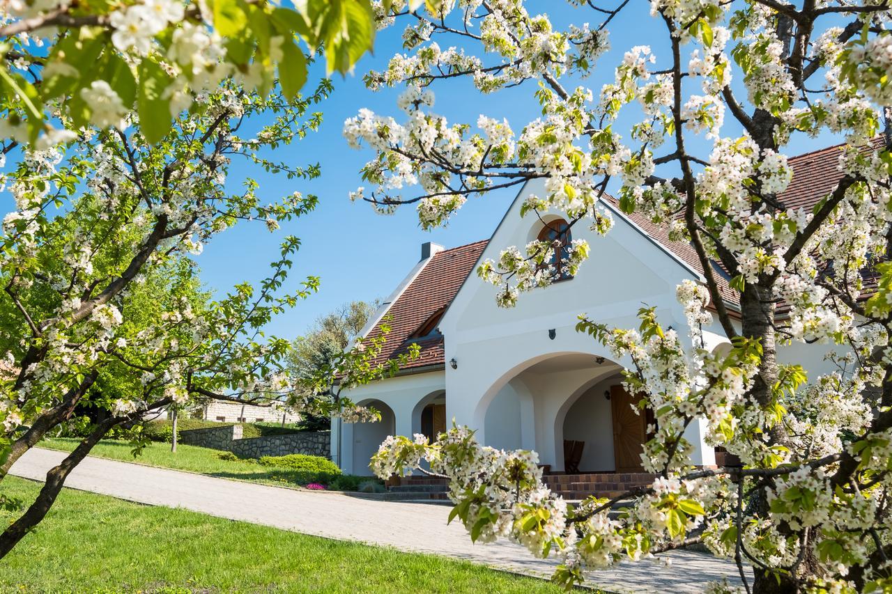 Figula Vendégház Balatonfüred Esterno foto